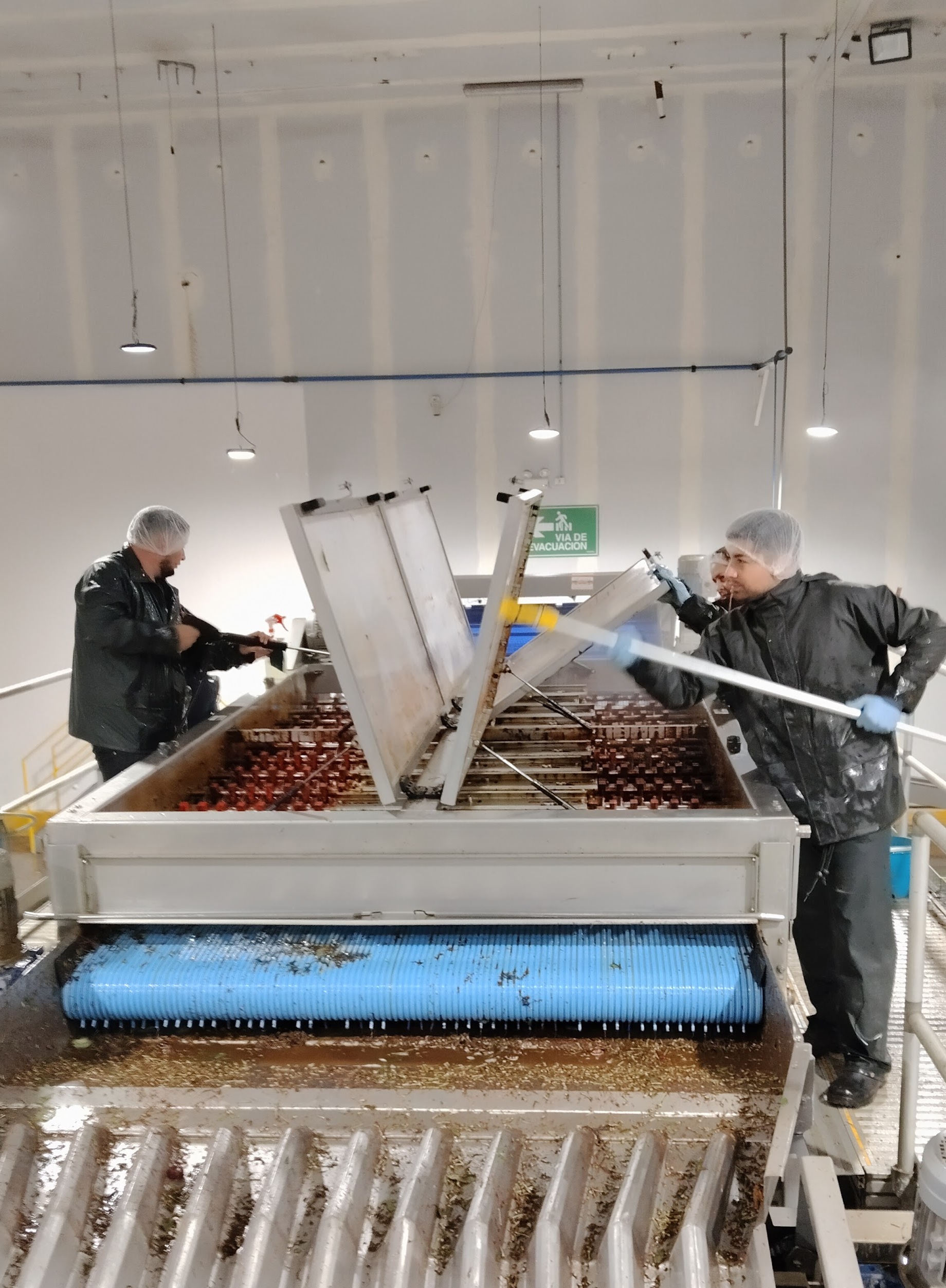 limpieza en industria agricola
