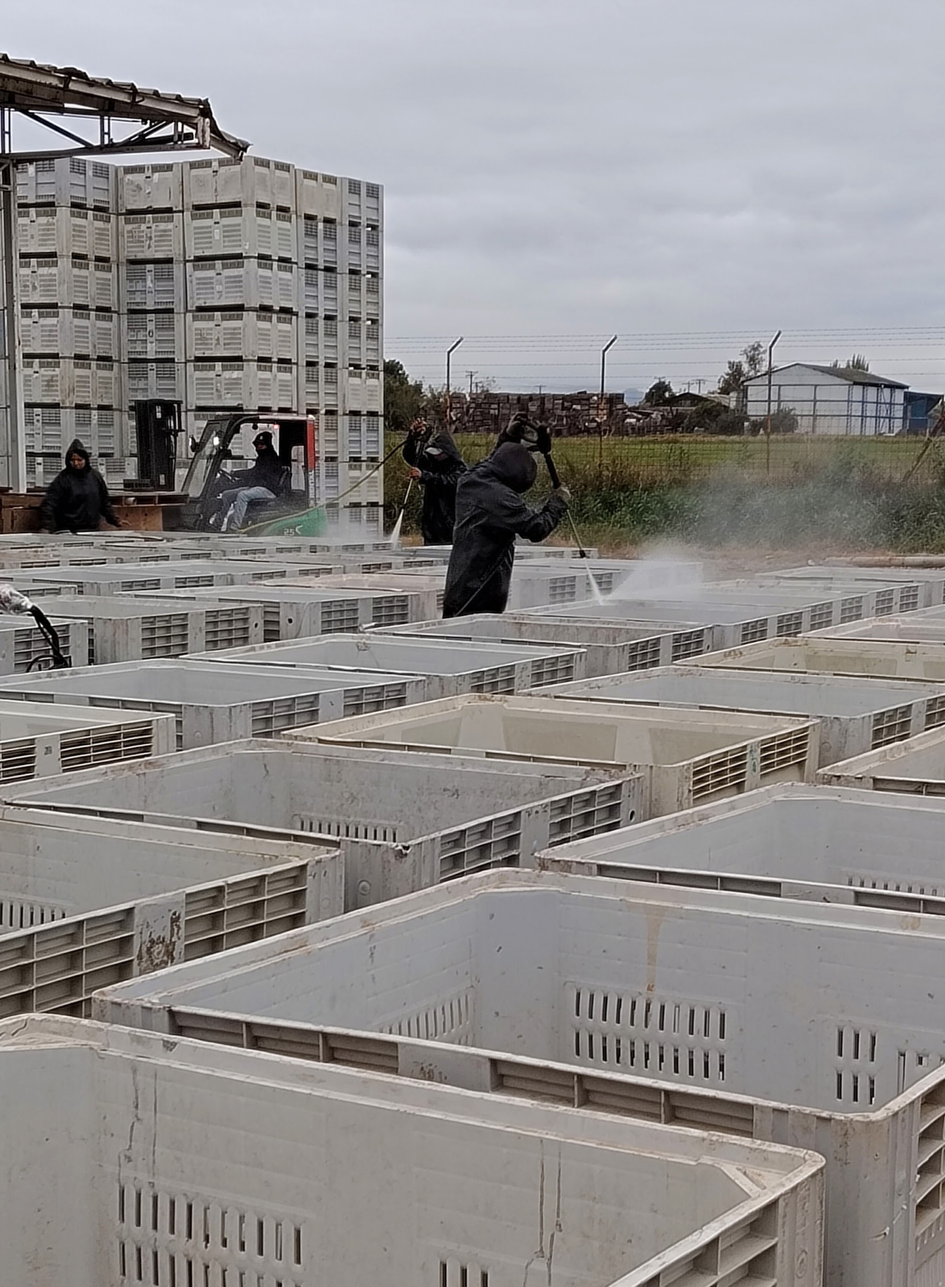 limpieza de bins agricolas